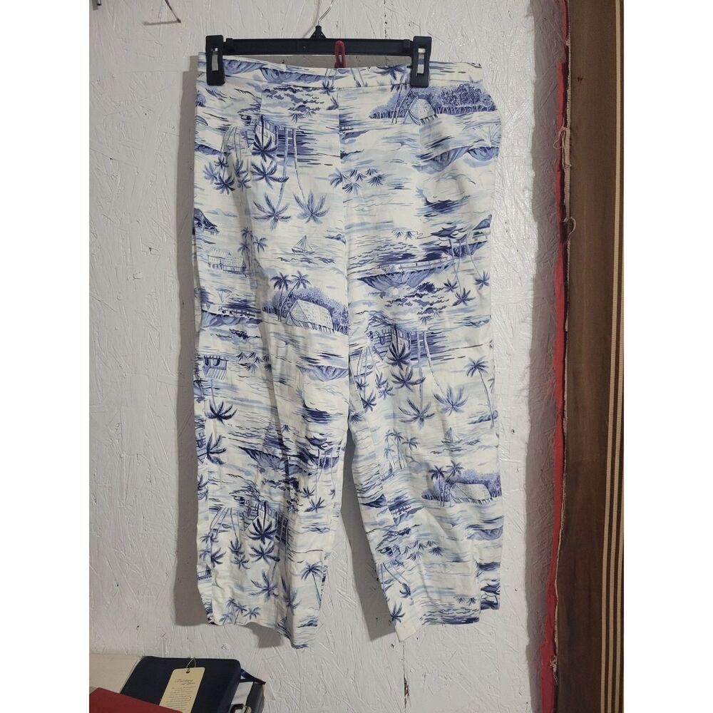 Briggs capris women's size 10 (J32)